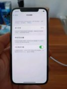 苹果12pro256g